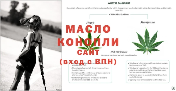 ПСИЛОЦИБИНОВЫЕ ГРИБЫ Армянск