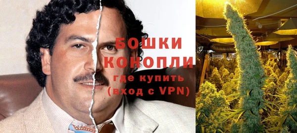 ПСИЛОЦИБИНОВЫЕ ГРИБЫ Армянск
