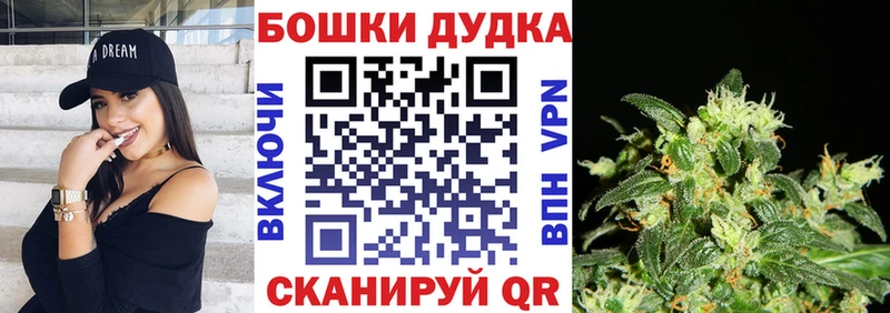 Бошки Шишки ГИДРОПОН  Краснослободск 